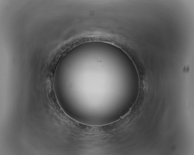 X0000112891493200908281648