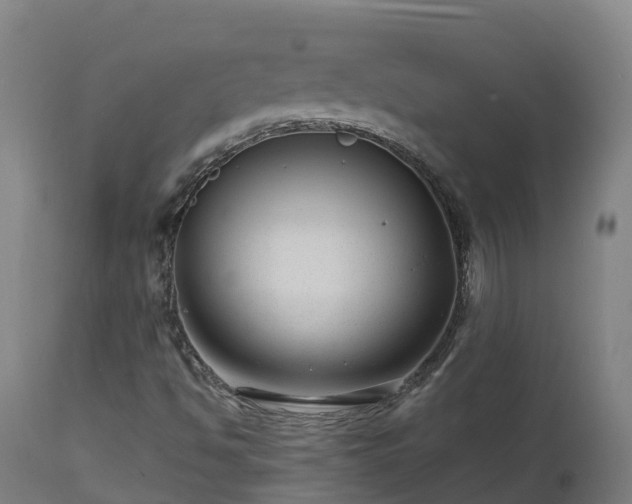 X0000112891494200908281648