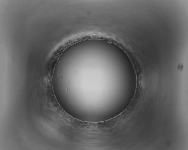 X0000112891495200908281648