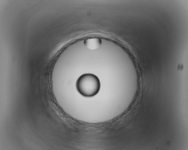 X0000112891496200908281648