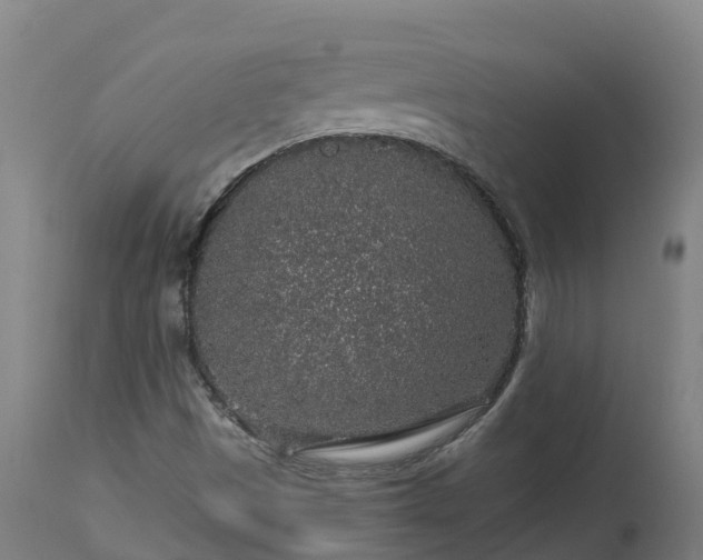 X0000112891497200908281648