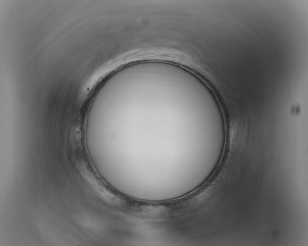 X0000112891498200908281648