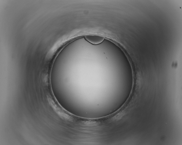 X0000112891499200908281648