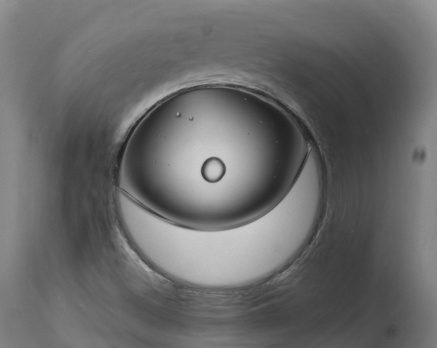 X0000112891500200908281648