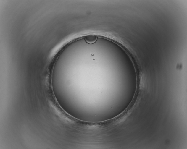 X0000112891502200908281648