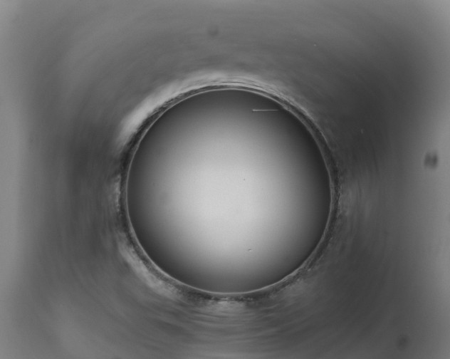 X0000112891503200908281648