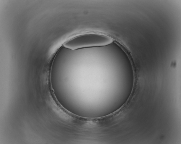 X0000112891504200908281648