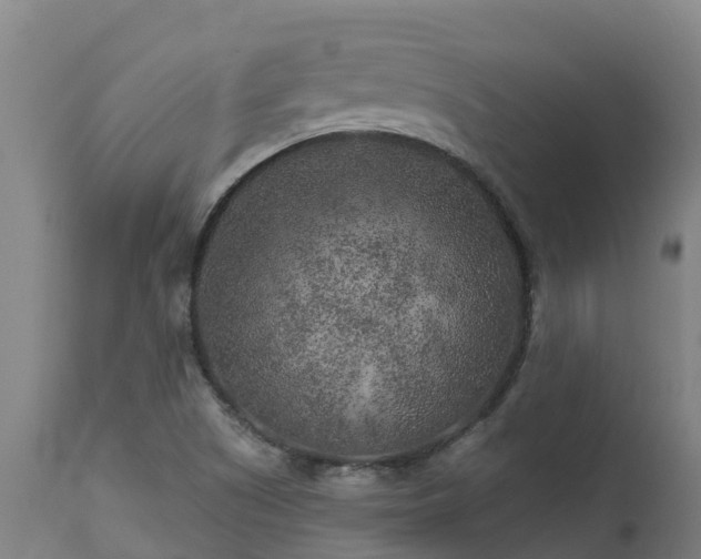 X0000112891505200908281648