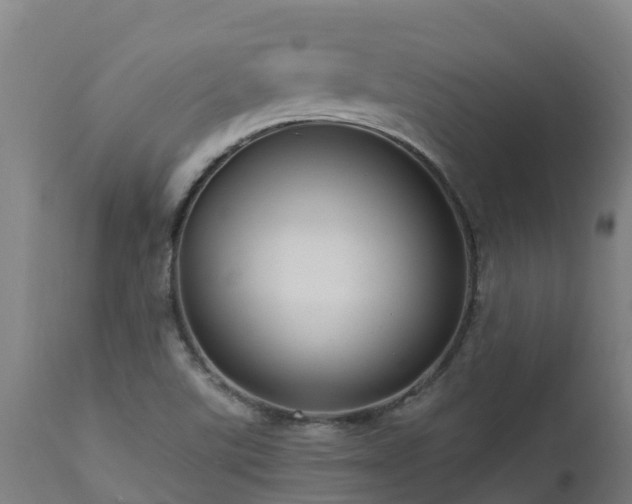 X0000112891507200908281649
