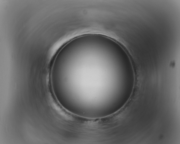 X0000112891511200908281649