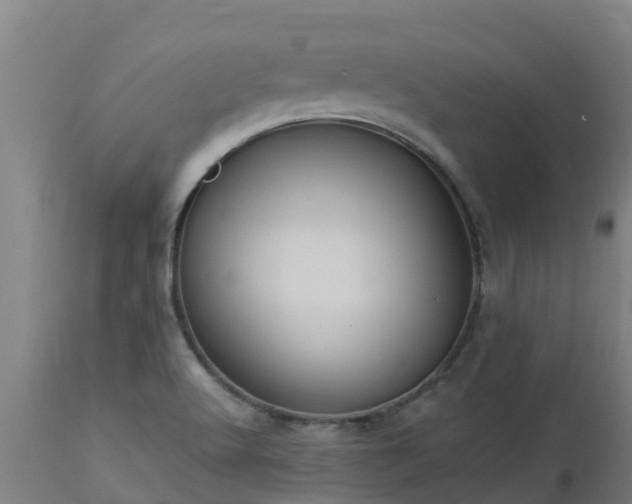 X0000112891512200908281649