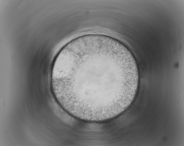 X0000112891514200908281649