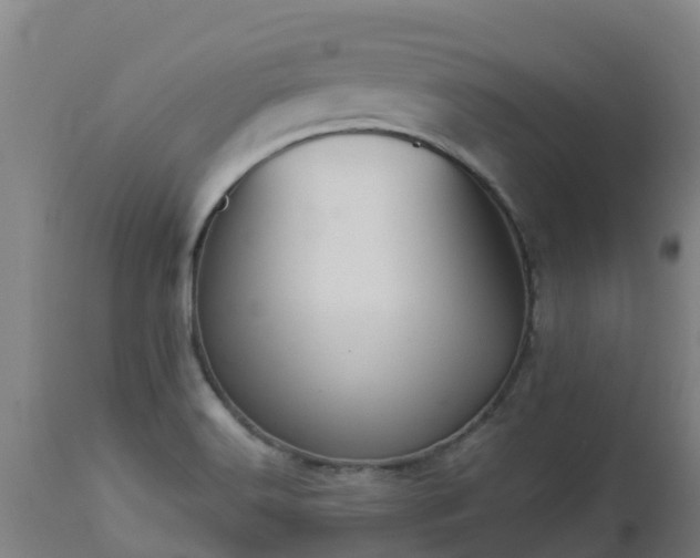 X0000112891516200908281649