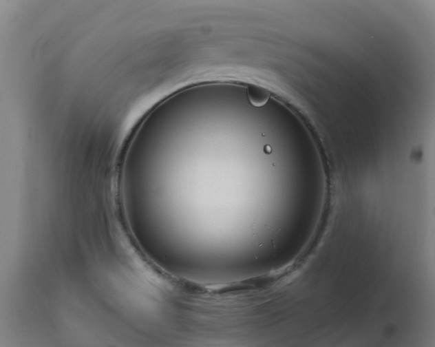 X0000112891517200908281649