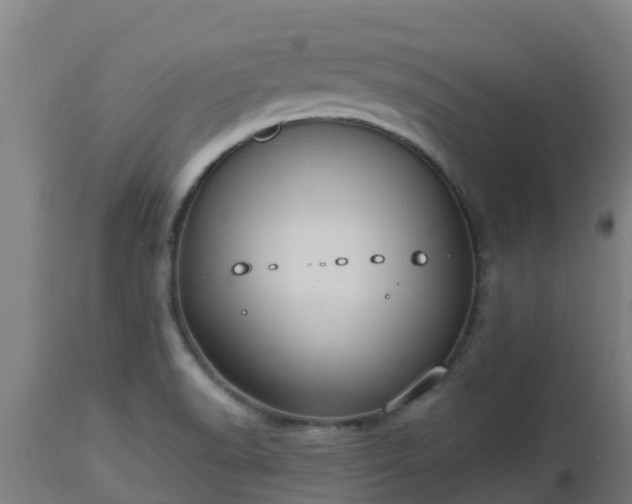 X0000112891518200908281649