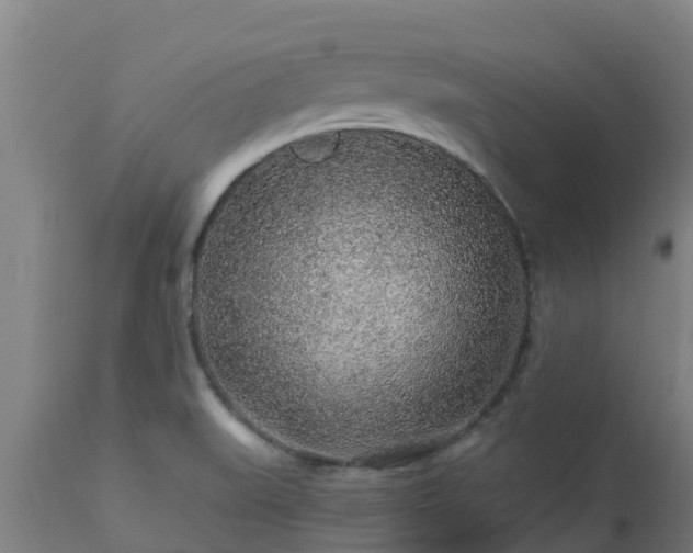 X0000112891519200908281649