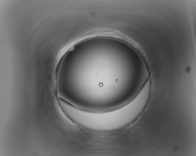 X0000112891520200908281649