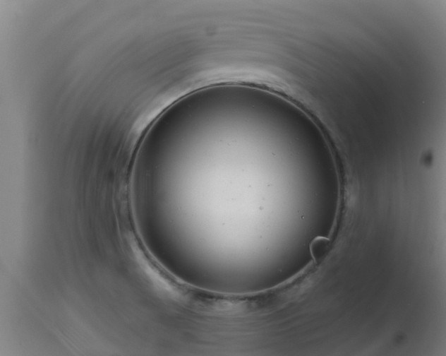 X0000112891521200908281649