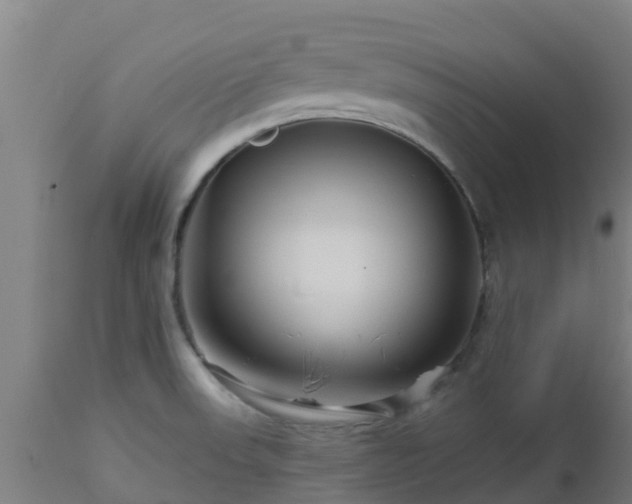 X0000112891523200908281649