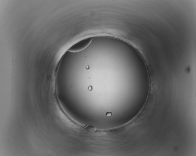 X0000112891524200908281649
