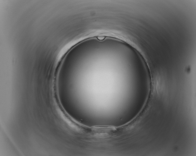 X0000112891525200908281649