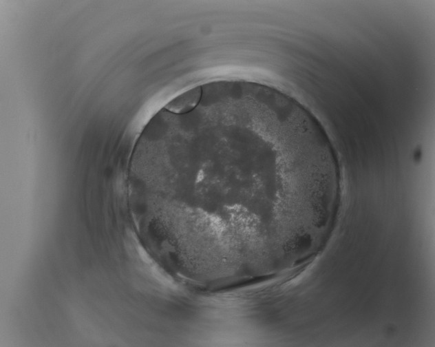 X0000112891529200908281649