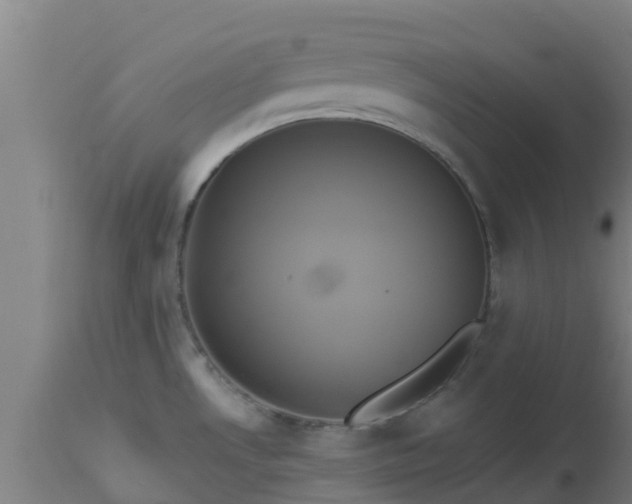 X0000112891530200908281649