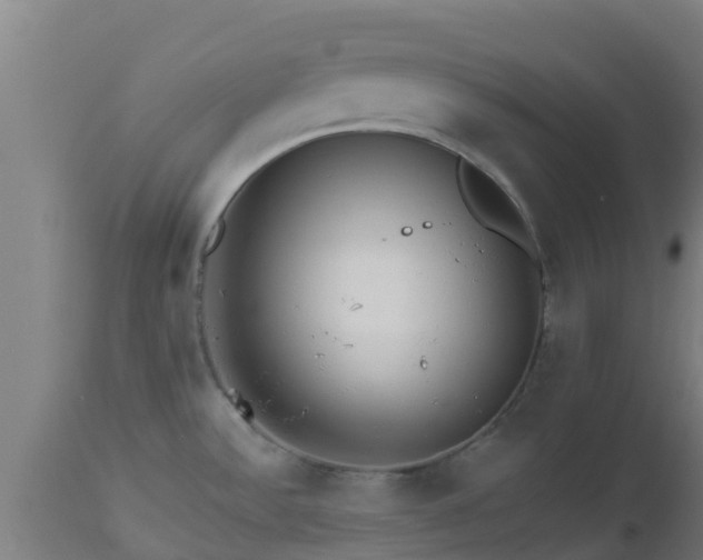 X0000112891532200908281649