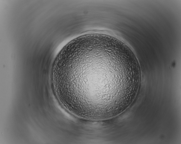 X0000112891533200908281649