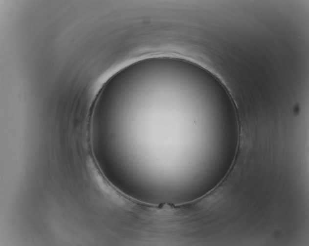 X0000112891534200908281649