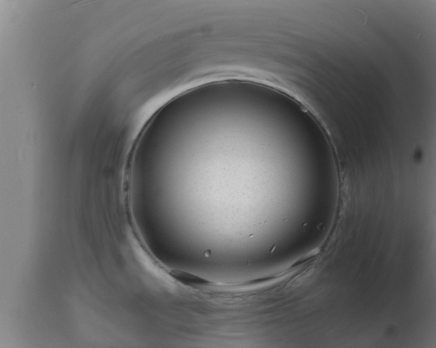 X0000112891535200908281649