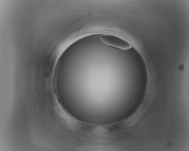 X0000112891536200908281649