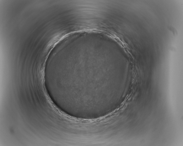 X0000112890002200909041711