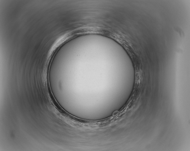 X0000112890004200909041711