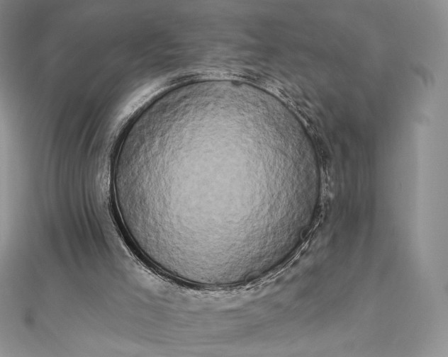 X0000112890005200909041711
