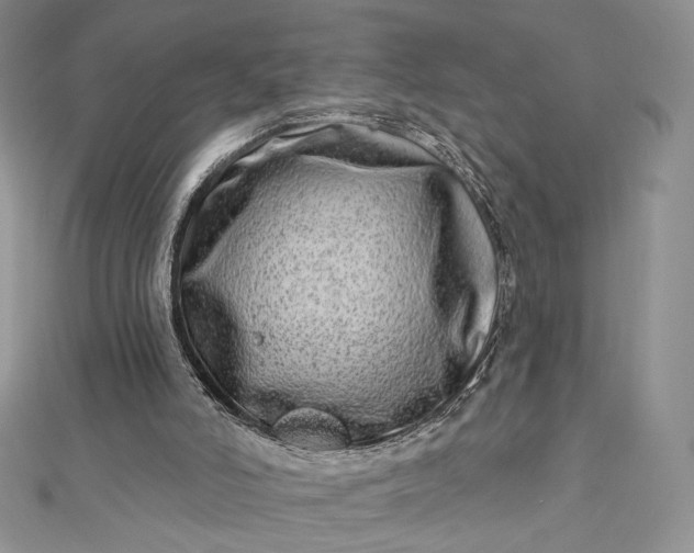 X0000112890006200909041711