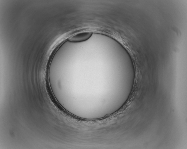 X0000112890007200909041711