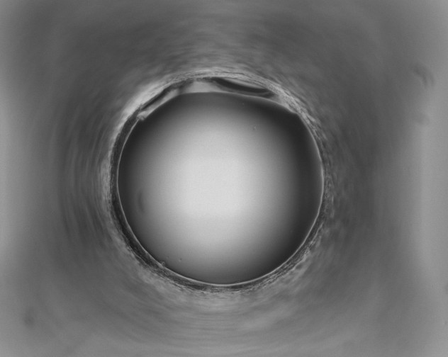 X0000112890008200909041711