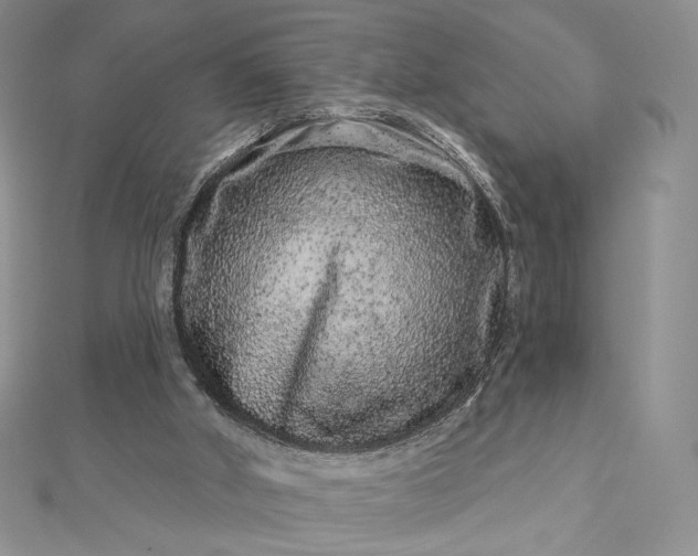 X0000112890010200909041711