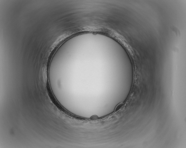 X0000112890011200909041711