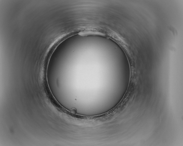 X0000112890012200909041711