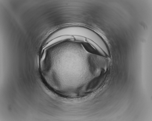 X0000112890013200909041711