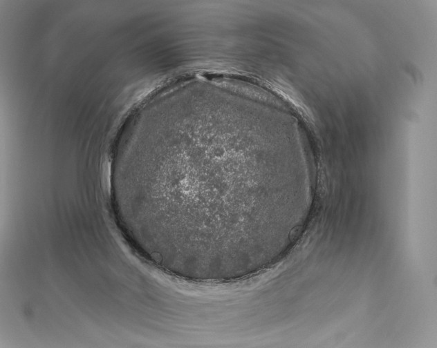 X0000112890014200909041711