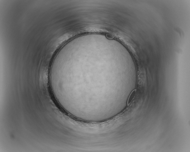 X0000112890015200909041711