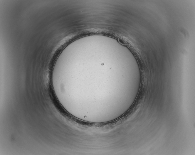X0000112890016200909041711