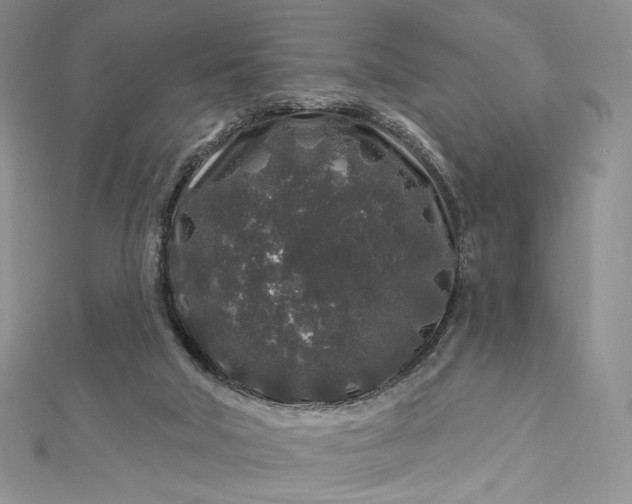 X0000112890018200909041711