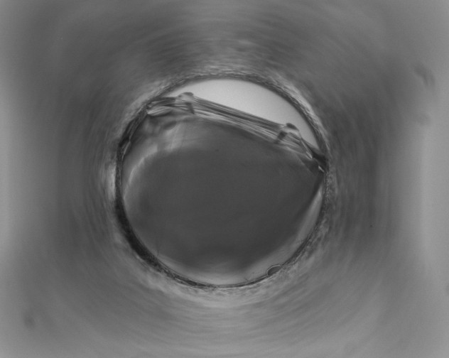 X0000112890019200909041711