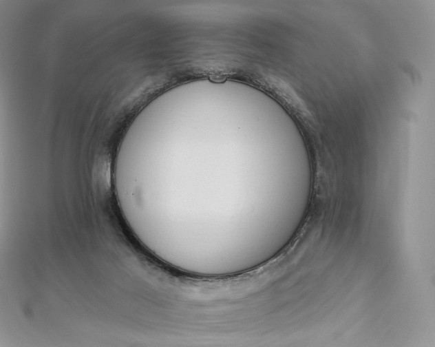 X0000112890021200909041711