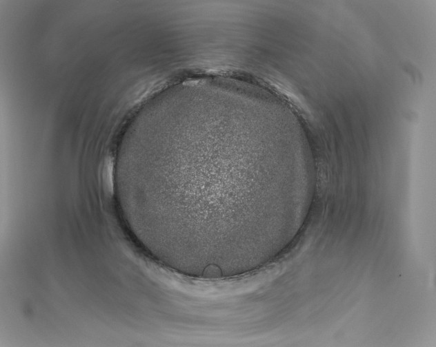 X0000112890022200909041711