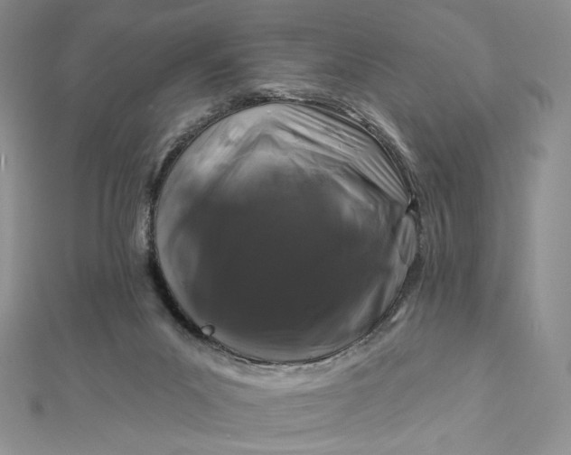 X0000112890023200909041711